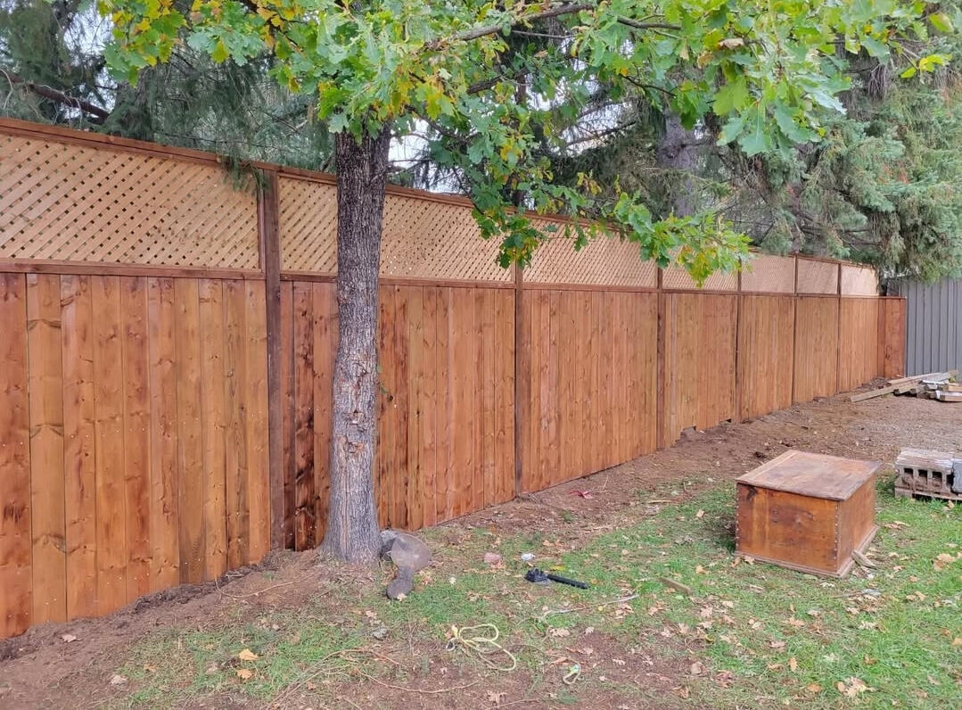 Fence and Lattice